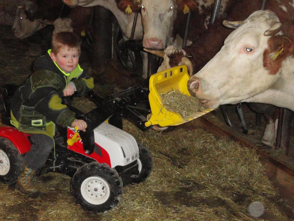Baby- Und Kinderhof Aicherbauer Seeham Екстер'єр фото