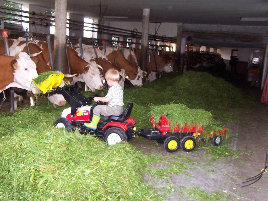 Baby- Und Kinderhof Aicherbauer Seeham Екстер'єр фото