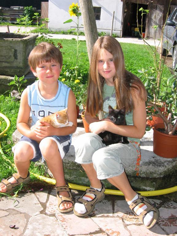 Baby- Und Kinderhof Aicherbauer Seeham Екстер'єр фото